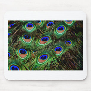 Mousepad Penas de Peacock