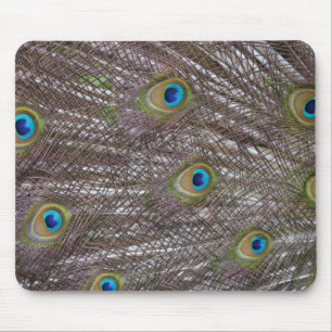Mousepad Penas de Peacock
