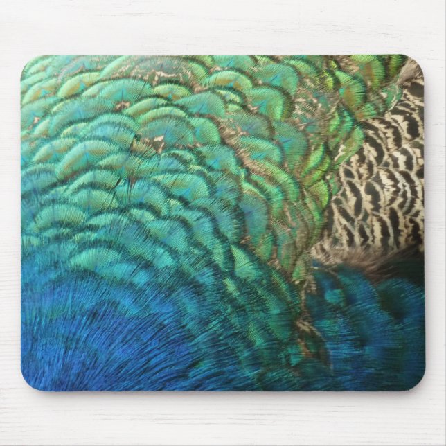 Mousepad Penas de Peacock I Abstrato (Frente)