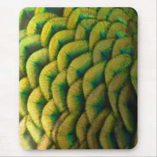 Mousepad Penas de Peacock II Natureza Colorida