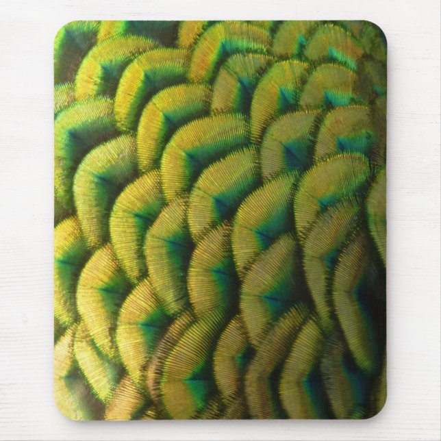 Mousepad Penas de Peacock II Natureza Colorida (Frente)