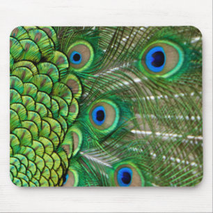 Mousepad Penas do pavão