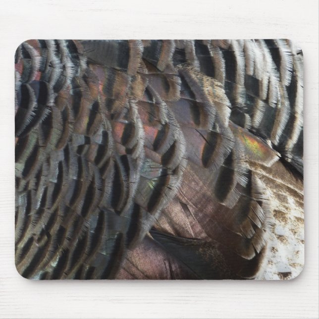 Mousepad Penas Selvagens Turcas I Abstrato Nature Design (Frente)