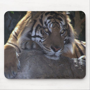 Mousepad Pensamento profundo