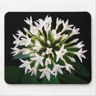 Mousepad Pentas branco