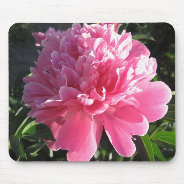 Mousepad Peônia cor-de-rosa (Frente)