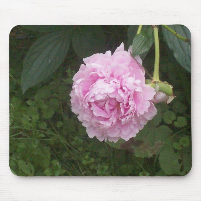 Mousepad Peônias cor-de-rosa (Frente)