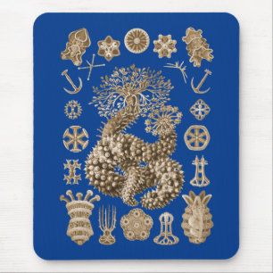 Mousepad Pepinos de mar