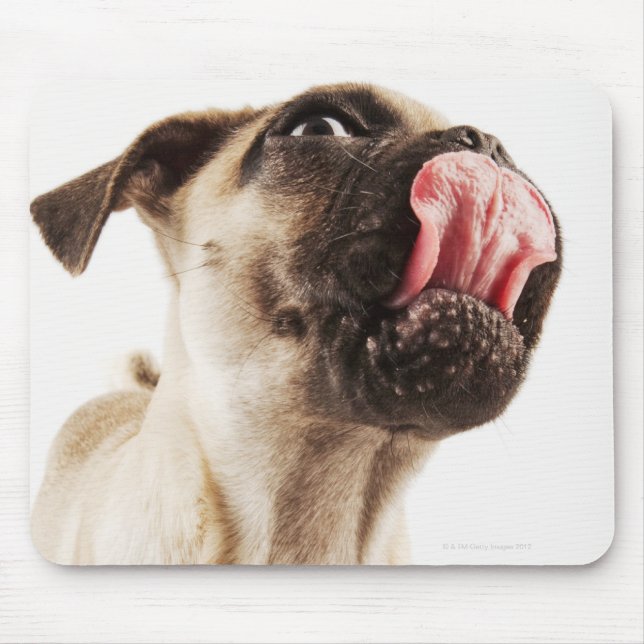 Mousepad Pequena Raça de Cães com Face Curta (Frente)