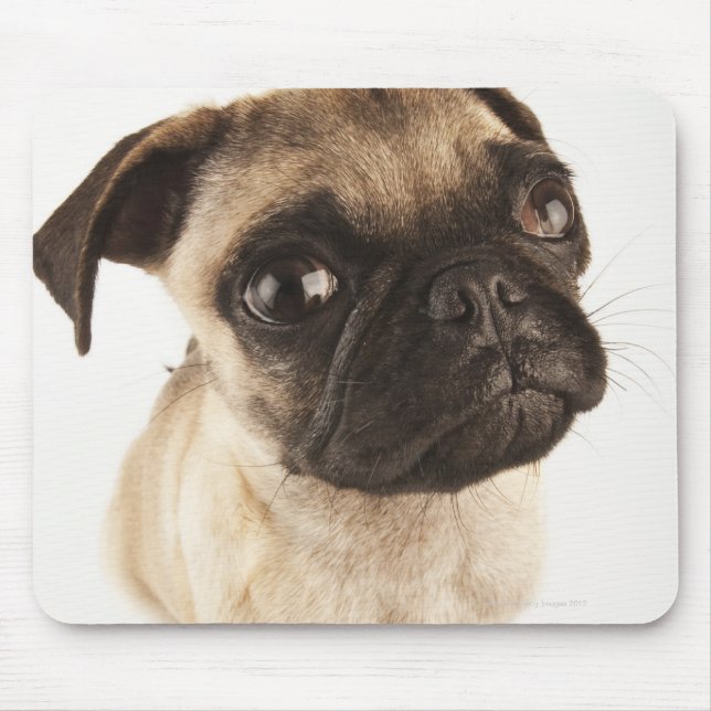 Mousepad Pequena raça de cães com rosto curto (Frente)