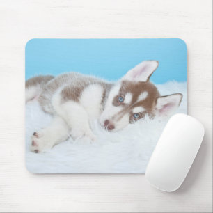 Mousepad Pequena Rouco com um cobertor