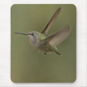 Mousepad Pequeno e poderoso beija-flor