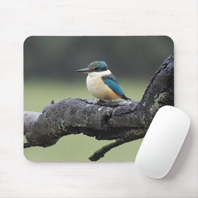 Mousepad Pequeno Pássaro Kookaburra (Com mouse)