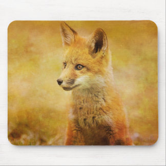 Mousepad Pequeno Raposo do Mouse