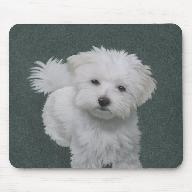 Mousepad Pequeno retrato de animal branco (Frente)