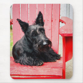 Mousepad Pequeno Scottie em uma Grande Cadeira Vermelha