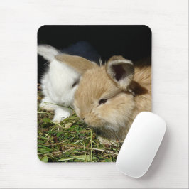 Mousepad Pequenos coelhos fofos bonitos