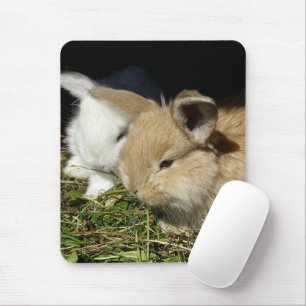 Mousepad Pequenos coelhos fofos bonitos