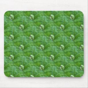 Mousepad Pequenos sapos......
