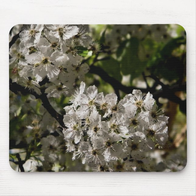 Mousepad Peras floridas (Frente)