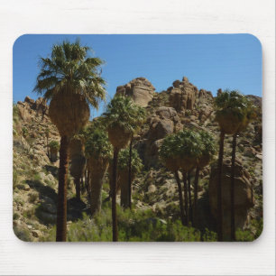 Mousepad Perdida Palms Oasis I no Parque Nacional Joshua Tr