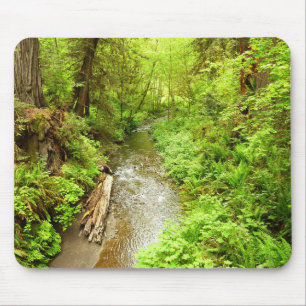Mousepad Perdido Homem Creek II no Parque Nacional de Redwo