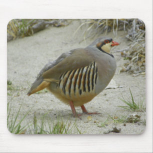 Mousepad Perdiz de Chukar