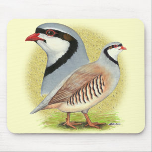 Mousepad Perdiz de Chukar combinado