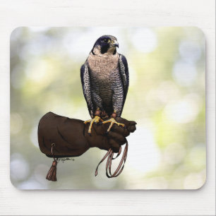 Mousepad Peregrine Falcon on Glove
