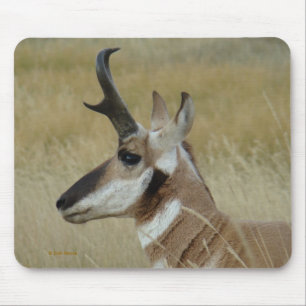 Mousepad Perfil da cabeça do antílope de A4 Pronghorn