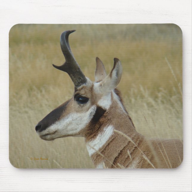 Mousepad Perfil da cabeça do antílope de A4 Pronghorn (Frente)
