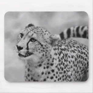 Mousepad Perfil da chita