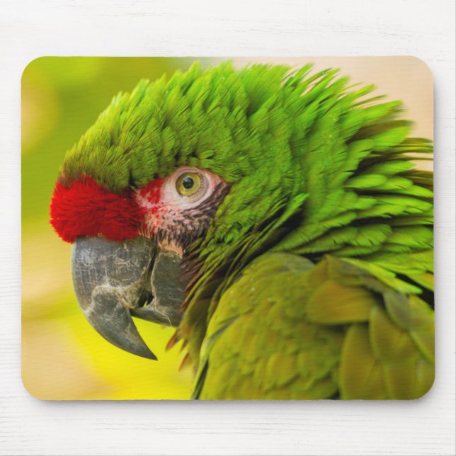 Mousepad Perfil de arara no Zoológico de Santa Barbara (Frente)