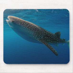 Mousepad Perfil de um tubarão-baleia, Indonésia
