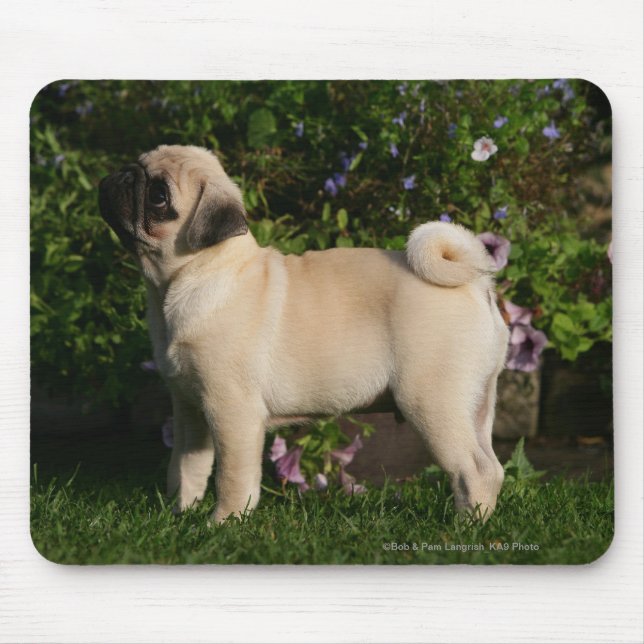 Mousepad Perfil do Pug da jovem corça (Frente)