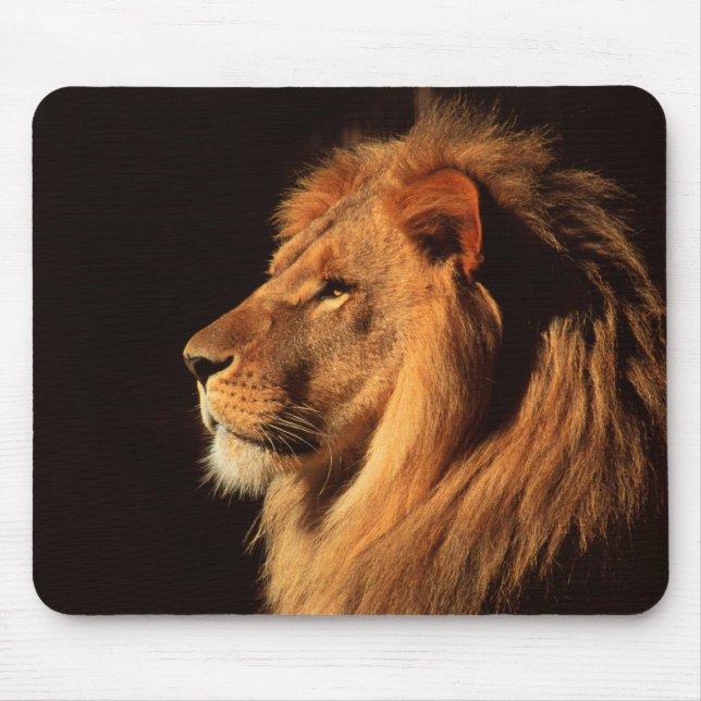 Mousepad Perfil masculino do leão - imagens dos animais (Frente)