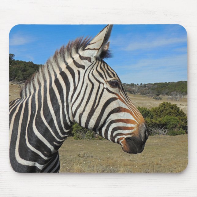Mousepad Perfil Zebra de Hartmann em Fossil Rim (Frente)