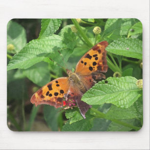 Mousepad Pergunta sobre Borboleta de Lantana