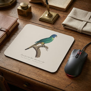 Mousepad Periquito-arco-íris jovem Trichoglossus moluccanus