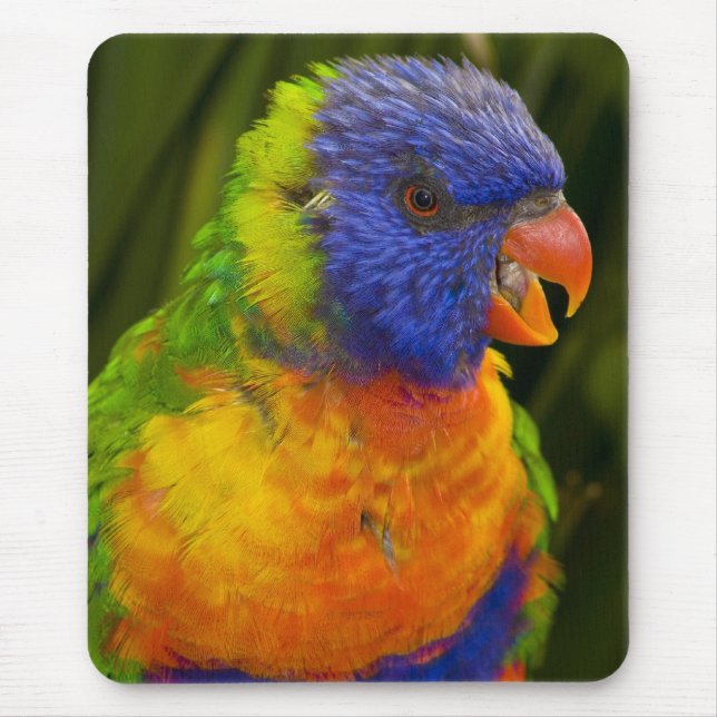 Mousepad periquito colorido (Frente)
