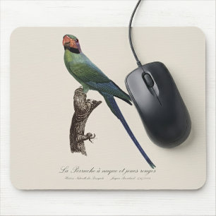 Mousepad Periquito-de-cauda-comprida, Psittacula Longicauda