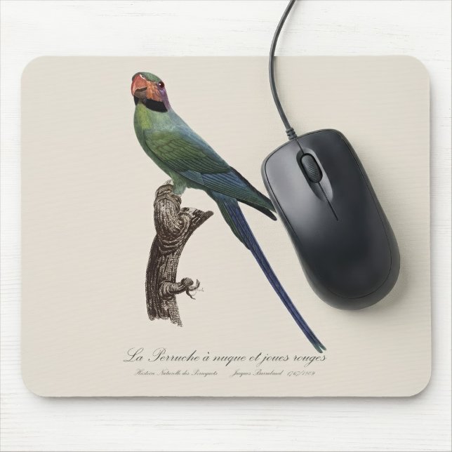 Mousepad Periquito-de-cauda-comprida, Psittacula Longicauda (Long-Tailed Parakeet, Psittacula Longicauda. Mouse Pad)