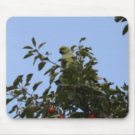 Mousepad Periquito Verde