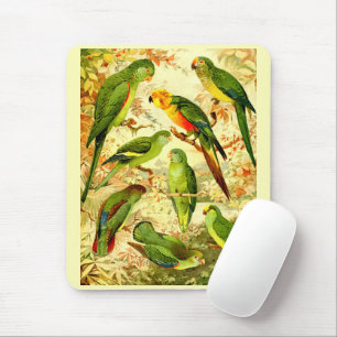 Mousepad periquitos,