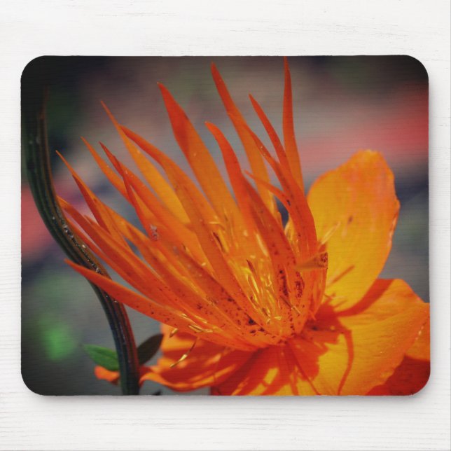 Mousepad Pérolas de Flor Amarelo-Laranja (Frente)