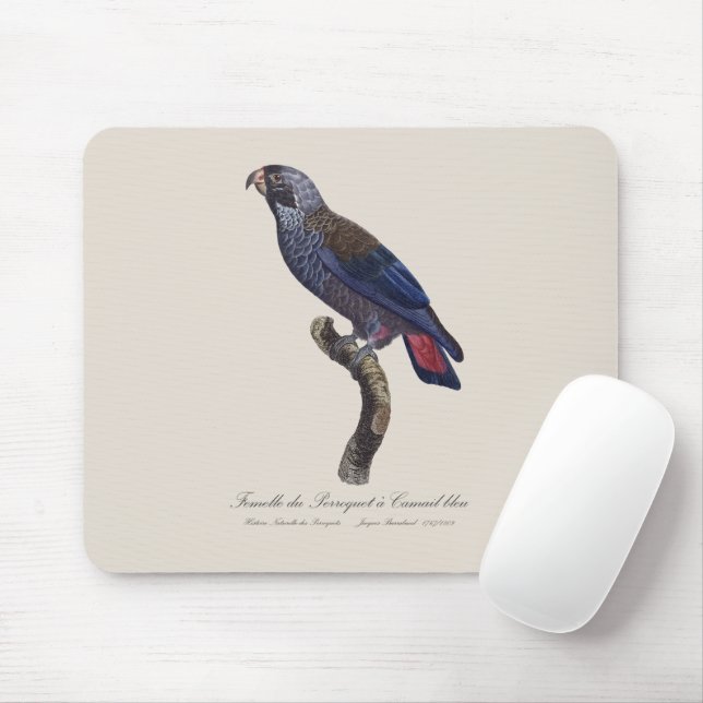 Mousepad Perroquet a Camail bleu / Papagaio-escuro (Com mouse)