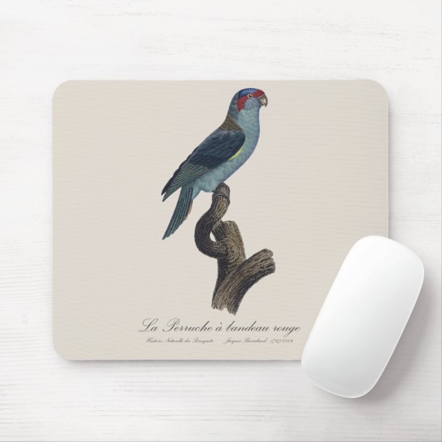Mousepad Perruche a bandeau rouge / Musk Lorikeet (Com mouse)