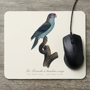 Mousepad Perruche a bandeau rouge / Musk Lorikeet