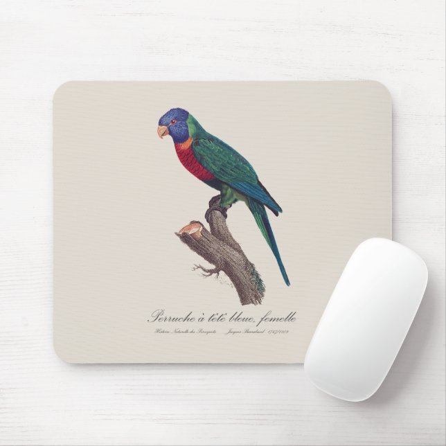 Mousepad Perruche a tete bleue, femelle/Rainbow lorikeet, (Com mouse)