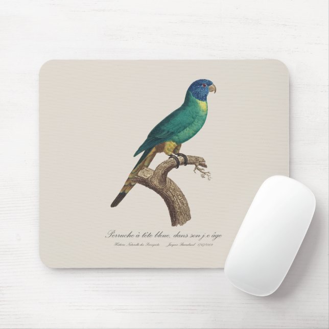 Mousepad Perruche a tete bleue/Rainbow lorikeet, juvenil (Com mouse)